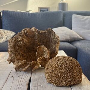 Decorative Gold Coral